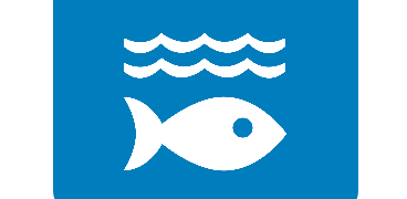 Life Below Water