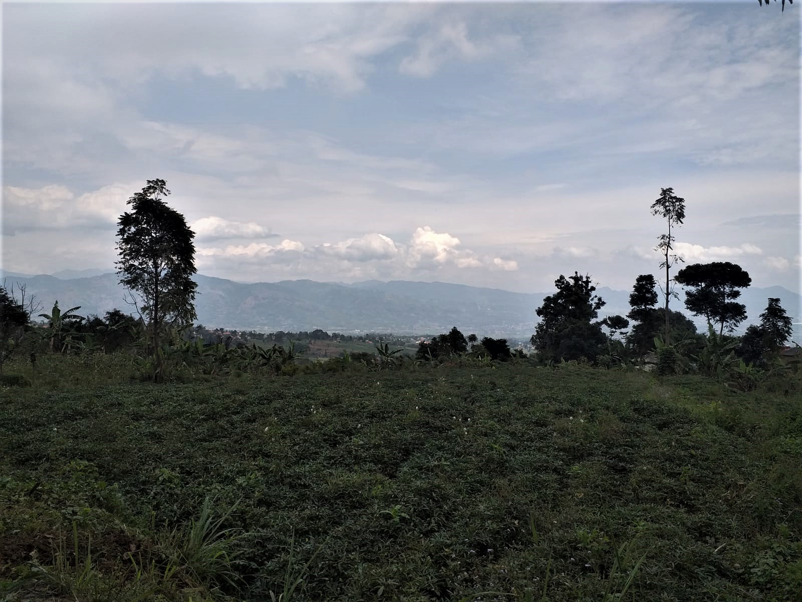 Desa Campakamulya, Jawa Barat