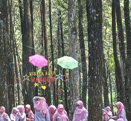Pasir Mulya